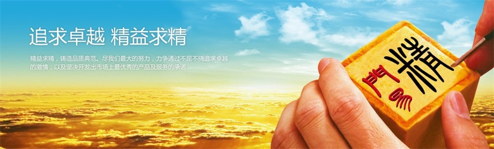 公司优势企业文化 追求卓越